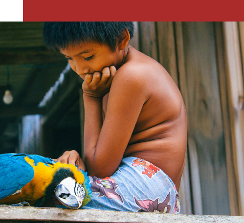 Criança amazônida com arara em seu território